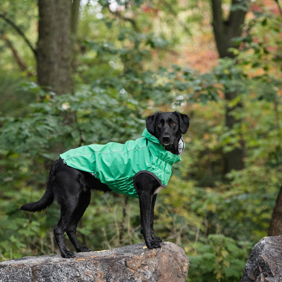 Reversible Elasto-Fit Raincoat - Green by GF Pet