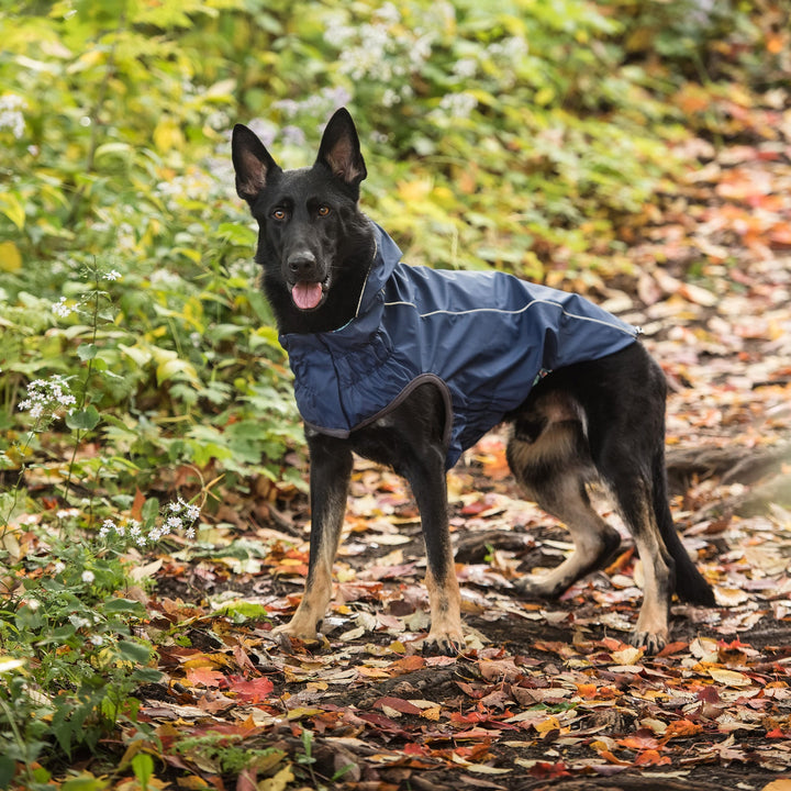 Reversible Elasto-Fit Raincoat - Navy by GF Pet