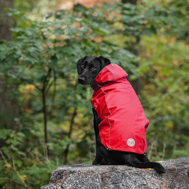 Reversible Elasto-Fit Raincoat - Red by GF Pet