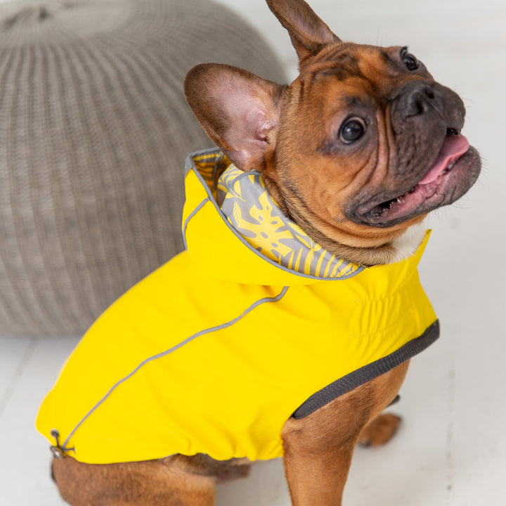 Reversible Elasto-Fit Raincoat - Yellow by GF Pet