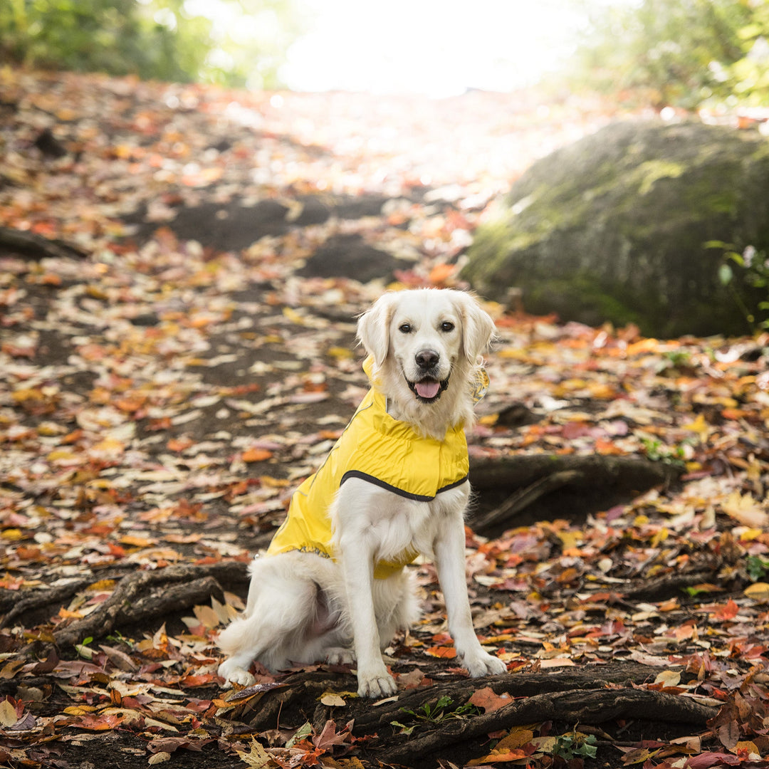 Reversible Elasto-Fit Raincoat - Yellow by GF Pet