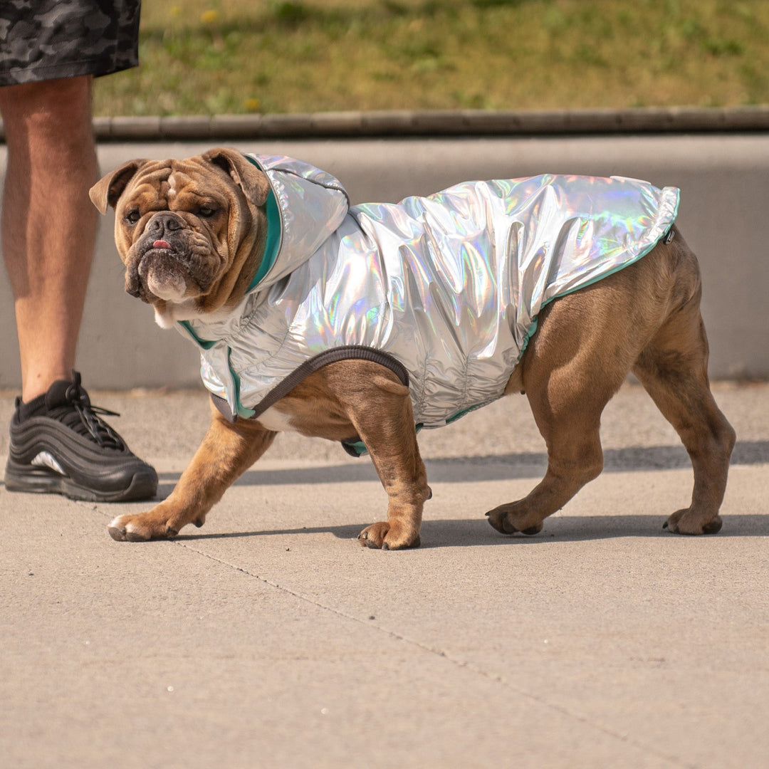 Reversible Raincoat - Neon Aqua with Iridescent by GF Pet
