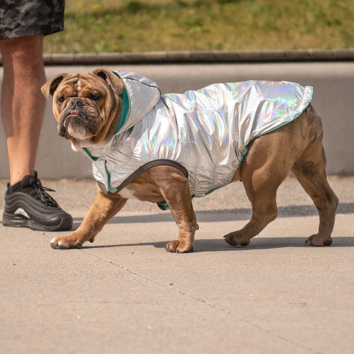 Reversible Raincoat - Neon Aqua with Iridescent by GF Pet