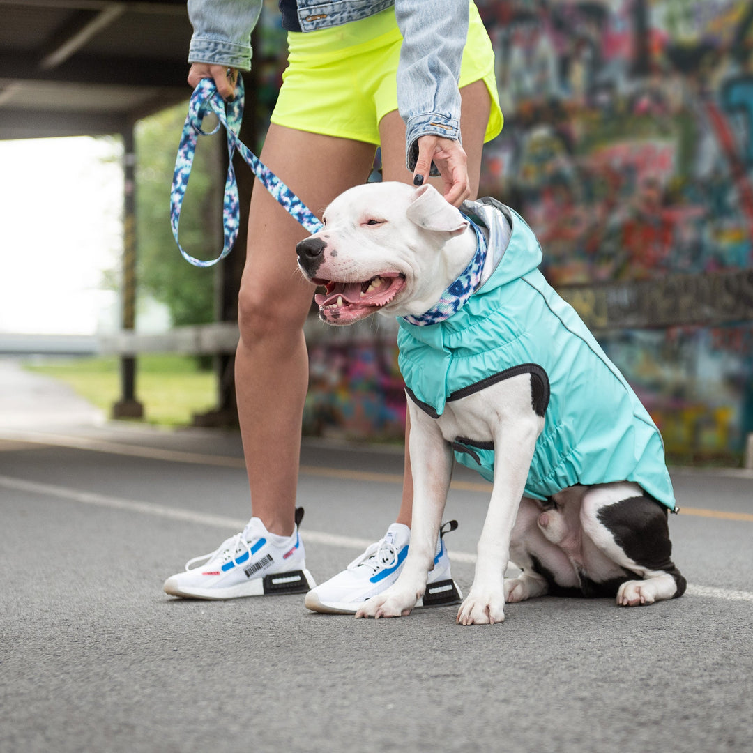 Reversible Raincoat - Neon Aqua with Iridescent by GF Pet