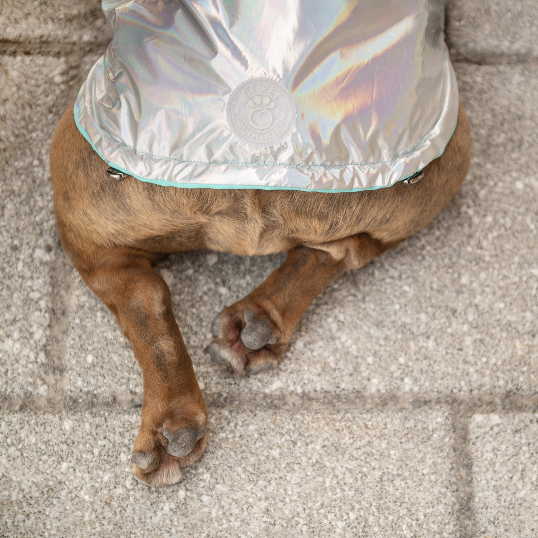 Reversible Raincoat - Neon Aqua with Iridescent by GF Pet