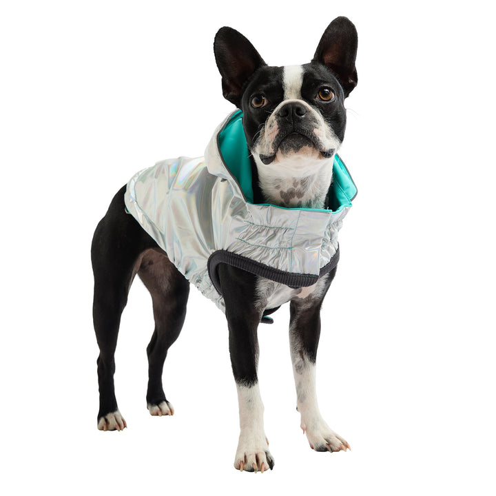 Reversible Raincoat - Neon Aqua with Iridescent by GF Pet