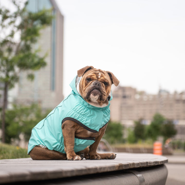 Reversible Raincoat - Neon Aqua with Iridescent by GF Pet