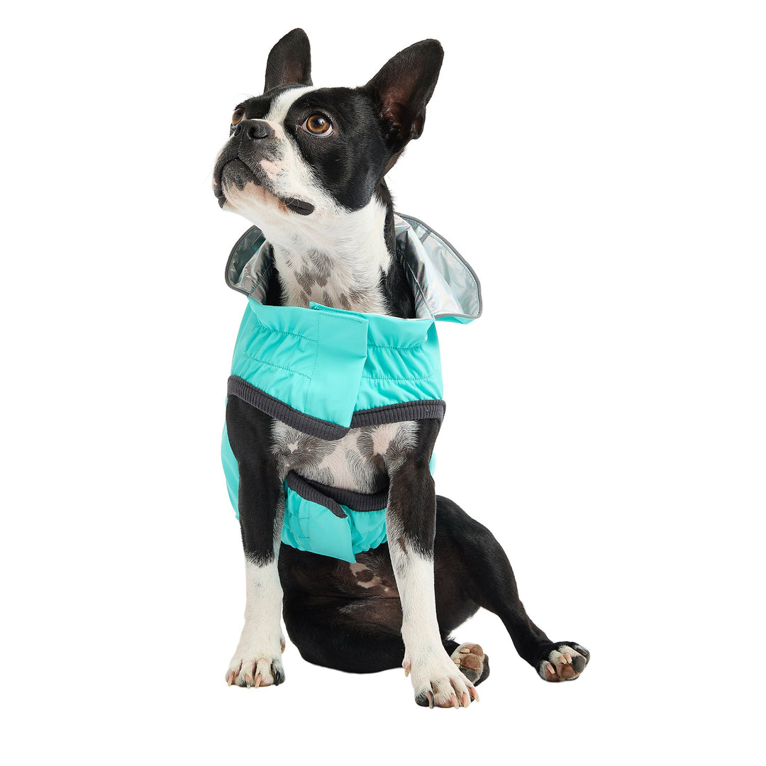 Reversible Raincoat - Neon Aqua with Iridescent by GF Pet