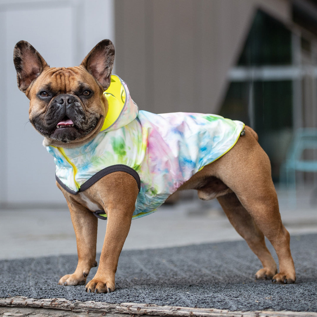 Reversible Raincoat - Neon Yellow with Tie Dye by GF Pet