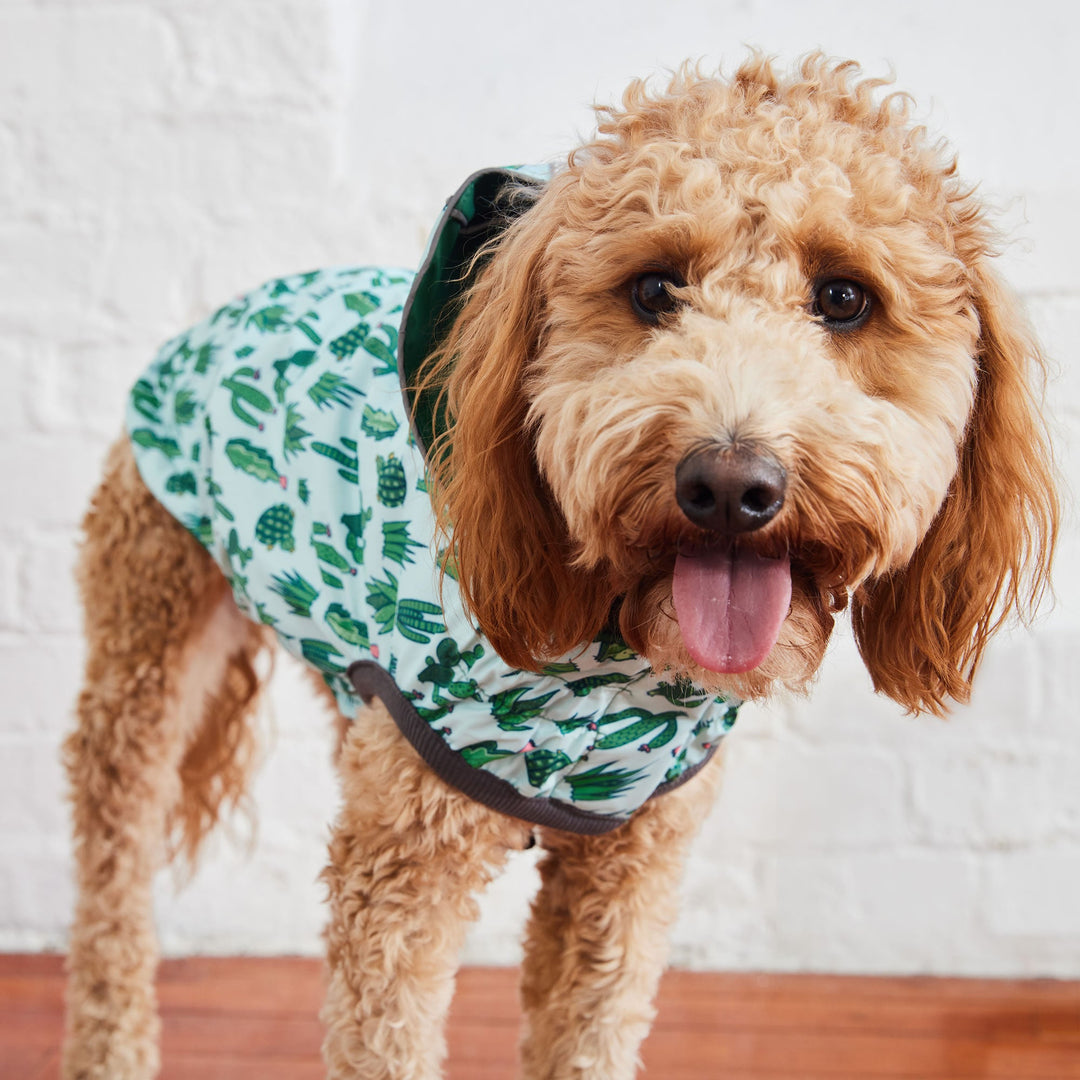 Reversible Elasto-Fit Raincoat - Green/Green by GF Pet