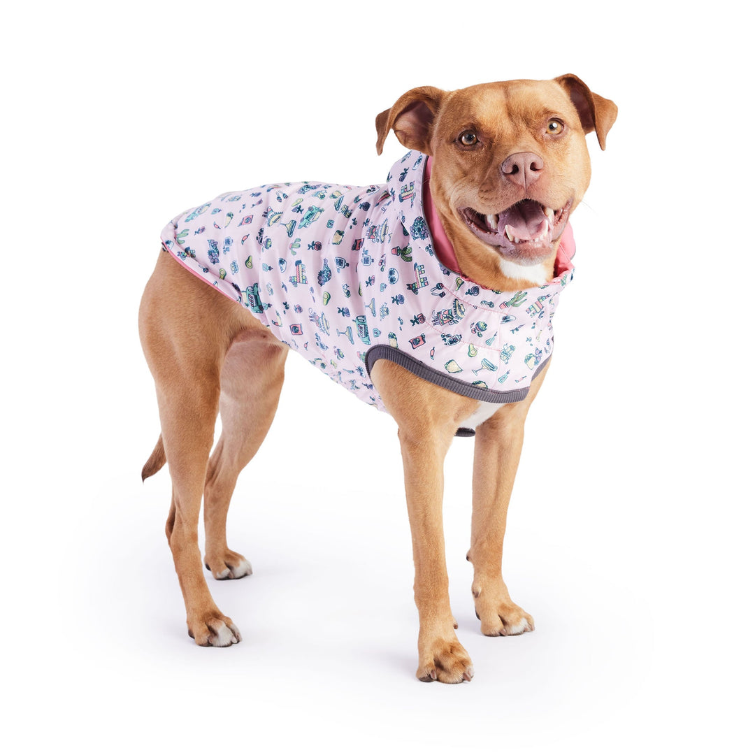 Reversible Elasto-Fit Raincoat - Pink/Pink by GF Pet