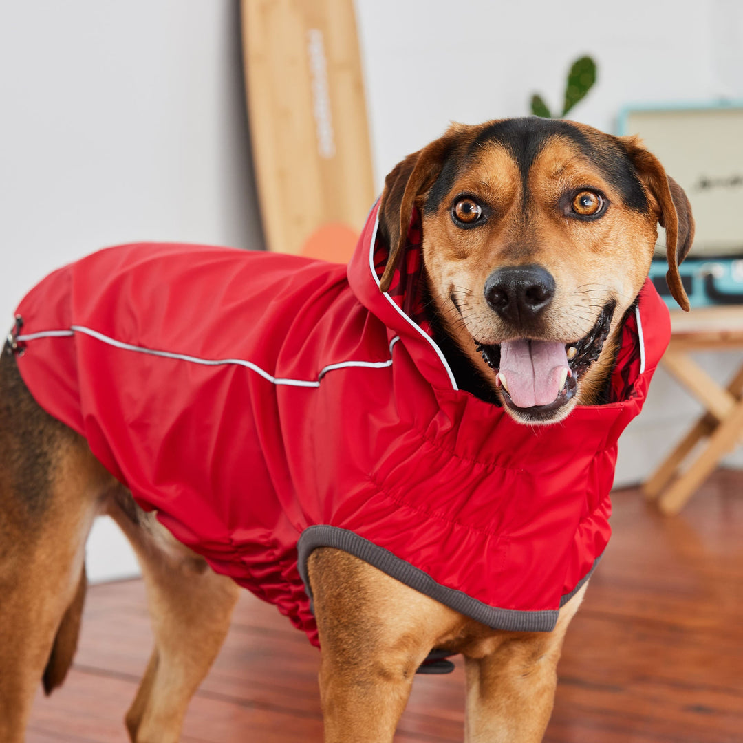 Reversible Elasto-Fit Raincoat - Red/Red by GF Pet