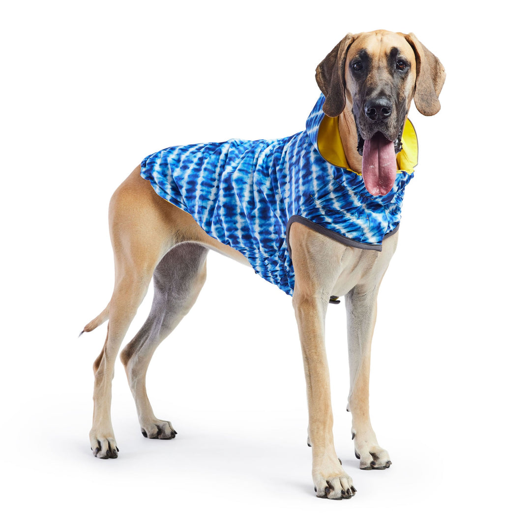 Reversible Elasto-Fit Raincoat - Yellow/Blue by GF Pet
