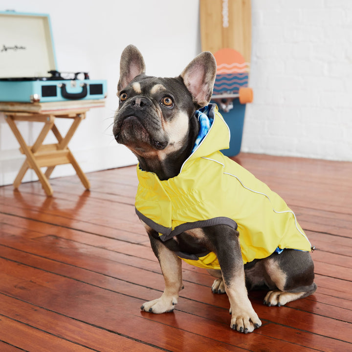Reversible Elasto-Fit Raincoat - Yellow/Blue by GF Pet