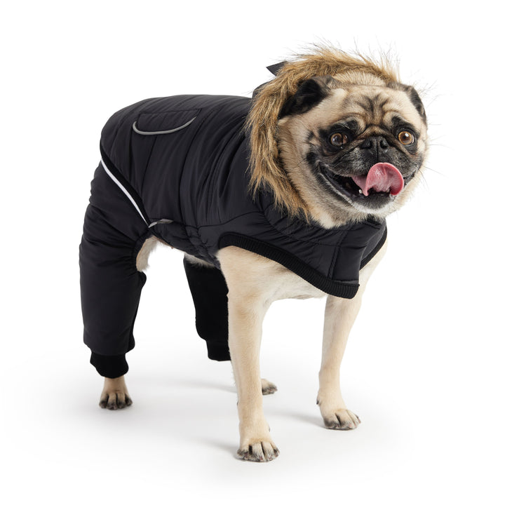 Creekside Snowsuit - Black by GF Pet