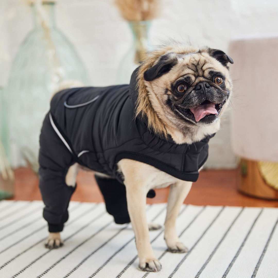 Creekside Snowsuit - Black by GF Pet