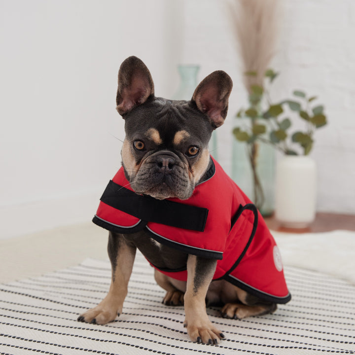 Blanket Jacket - Red by GF Pet