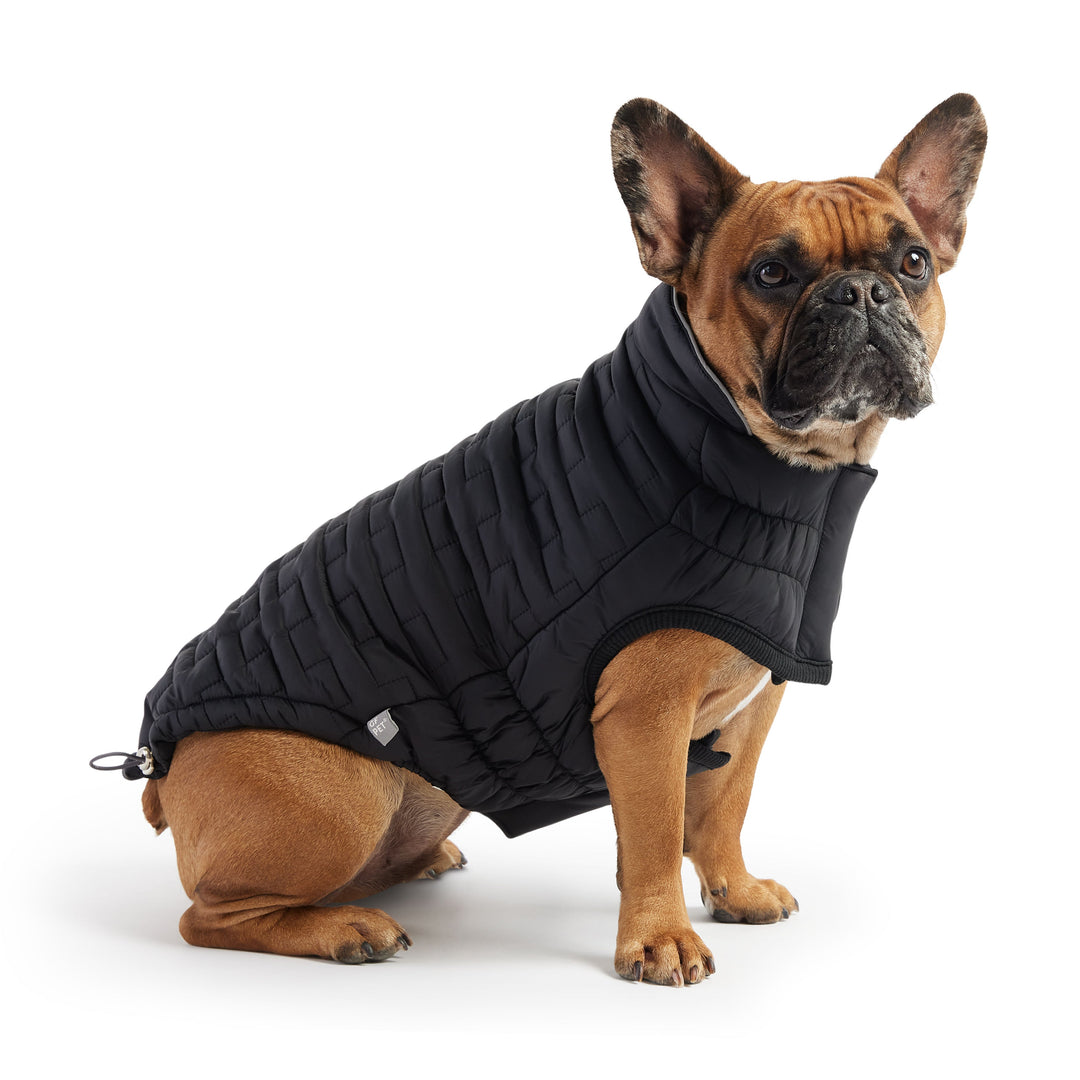 Reversible Chalet Jacket - Black by GF Pet