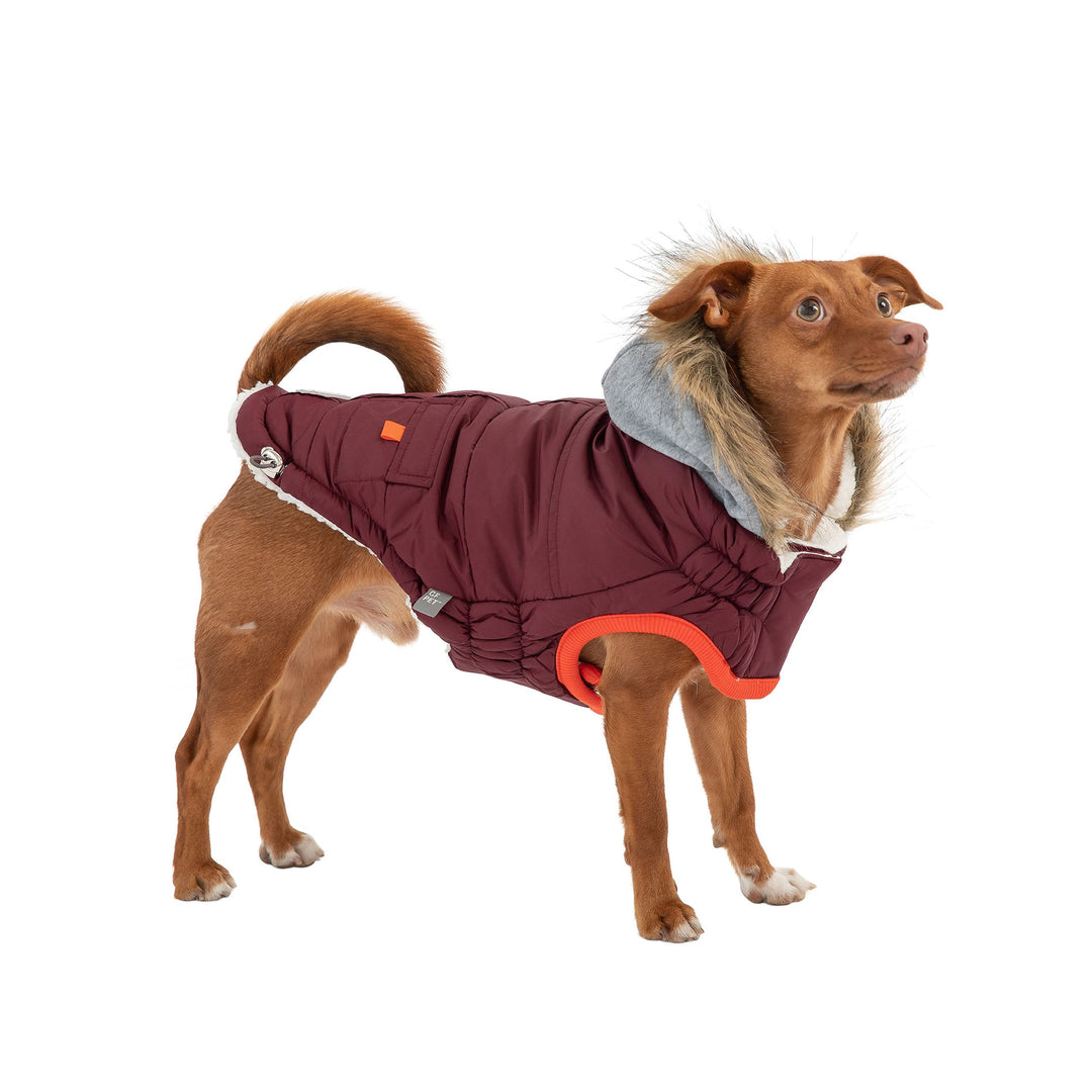 Winter Sailor Parka - Burgundy by GF Pet