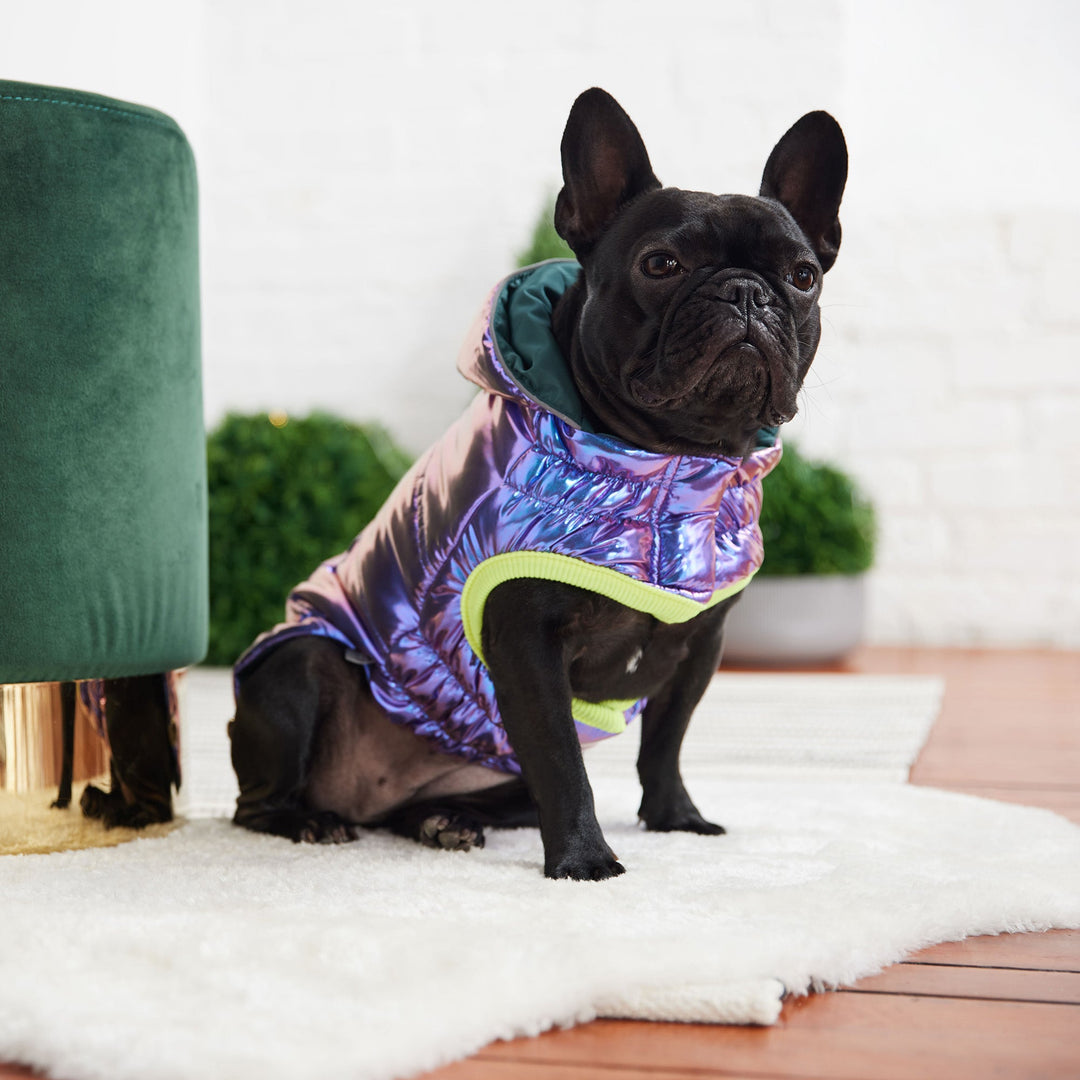 Recycled Parka - Iridescent by GF Pet