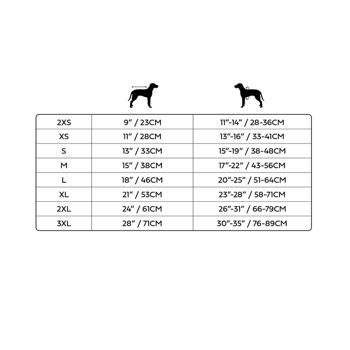 Graphic Tee - Blue by GF Pet