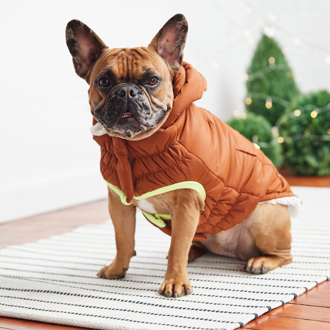 The Puff Parka - Hazel by GF Pet