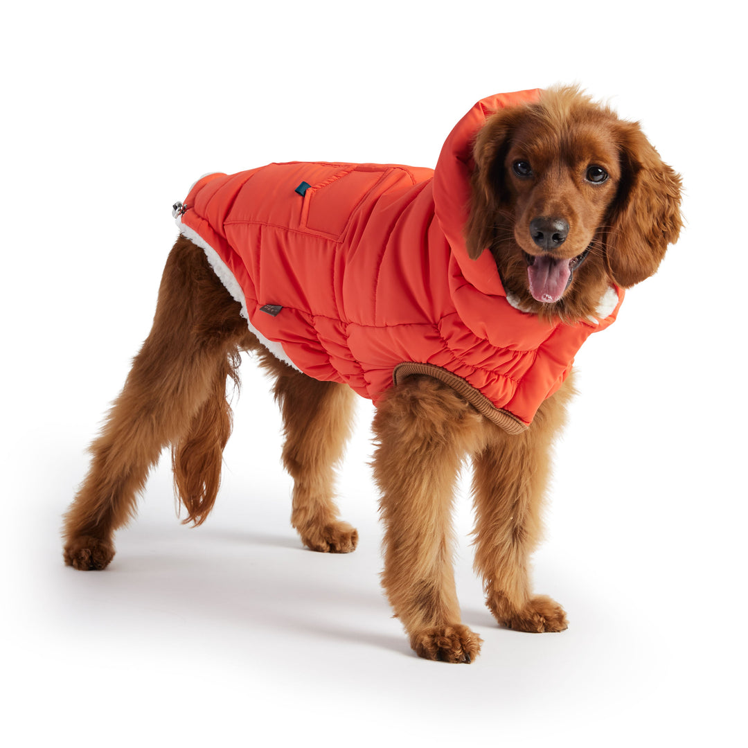 The Puff Parka - Orange by GF Pet