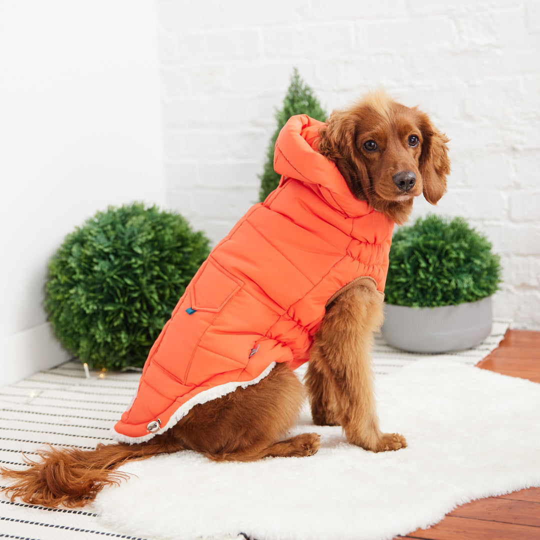 The Puff Parka - Orange by GF Pet