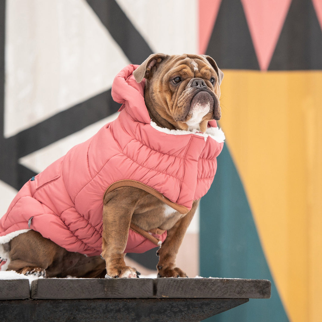 The Puff Parka - Pink by GF Pet