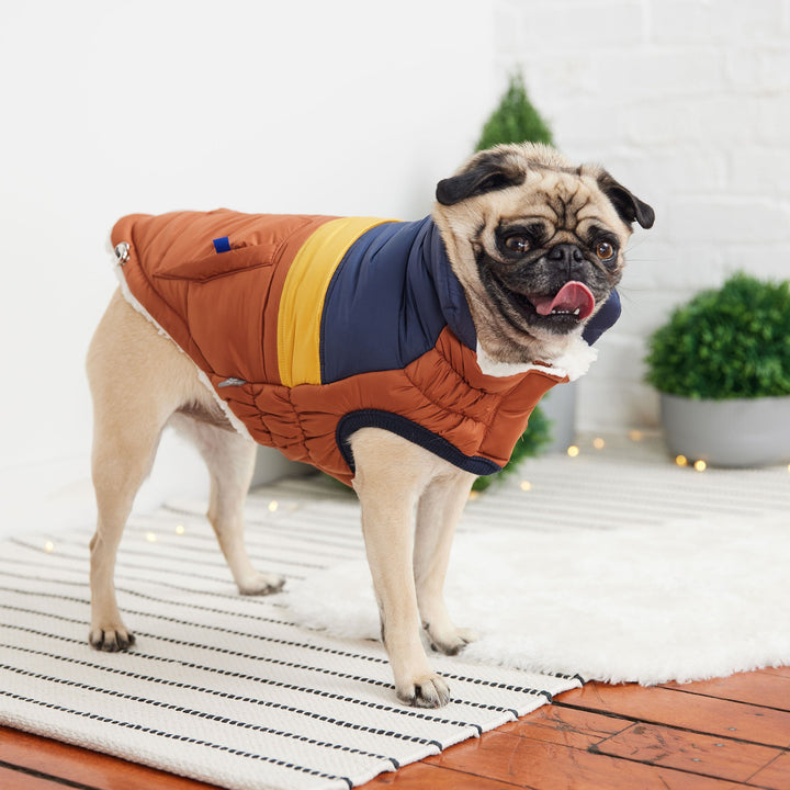 Retro Puffer - Hazel by GF Pet