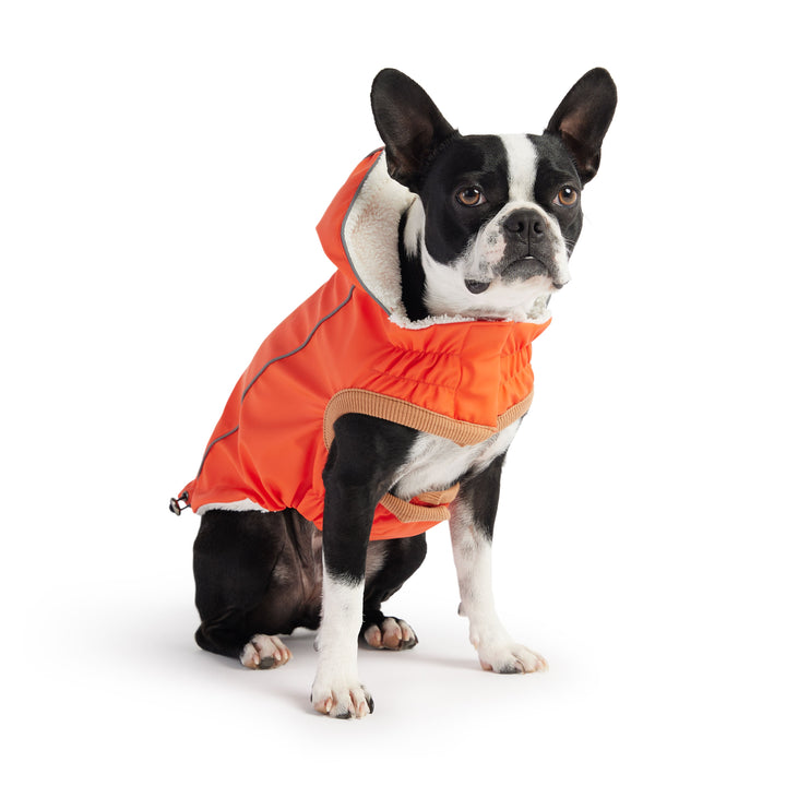 Insulated Raincoat - Orange by GF Pet