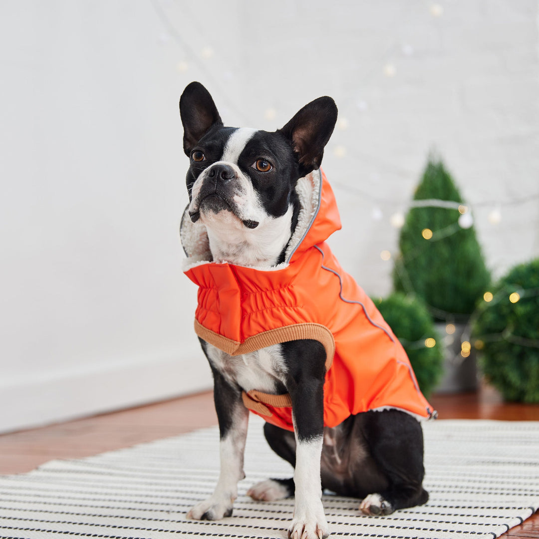Insulated Raincoat - Orange by GF Pet