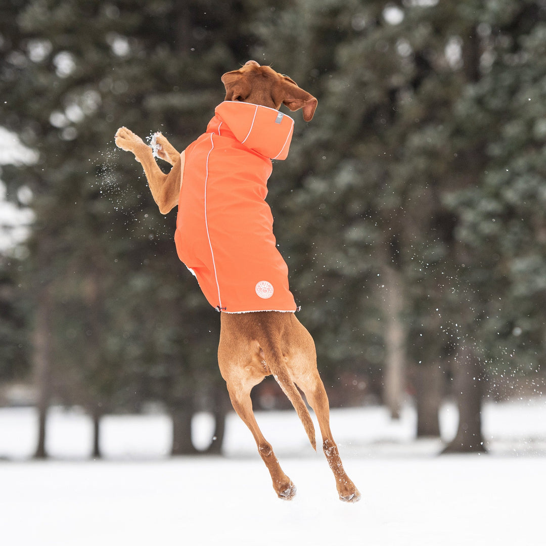 Insulated Raincoat - Orange by GF Pet