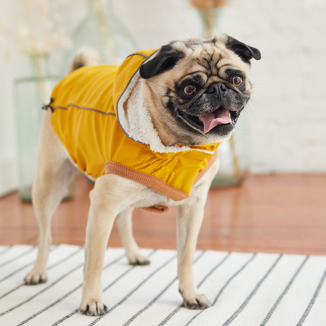 Insulated Raincoat - Yellow by GF Pet