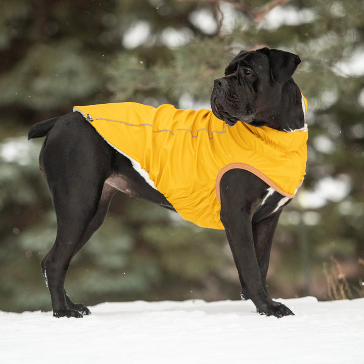 Insulated Raincoat - Yellow by GF Pet