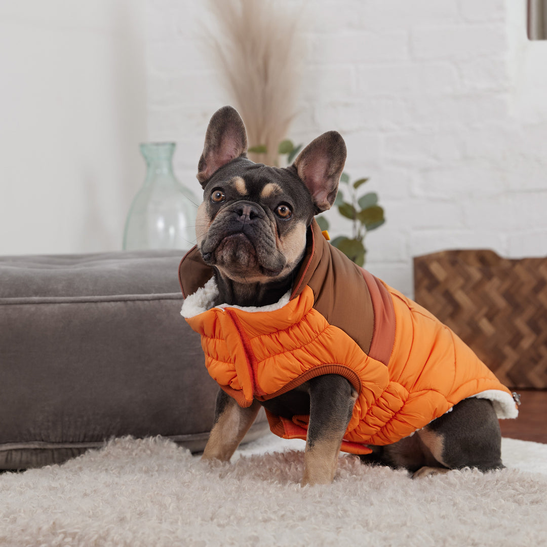 Camplife Puffer - Orange by GF Pet