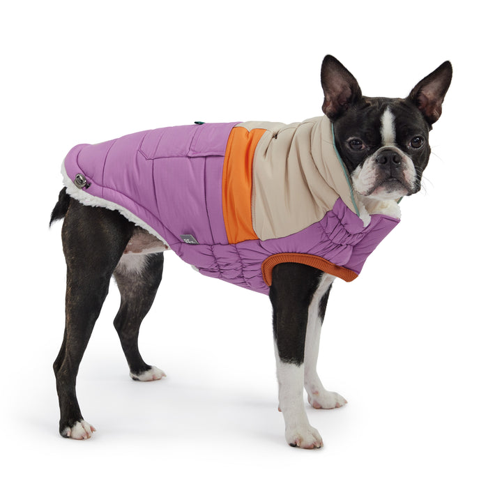 Camplife Puffer - Purple by GF Pet