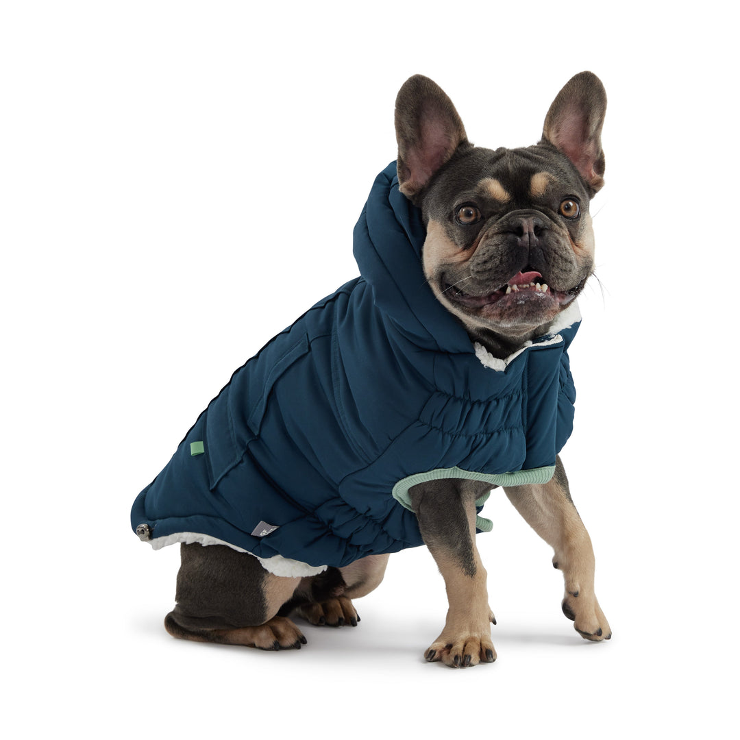 Arctic Parka - Teal by GF Pet
