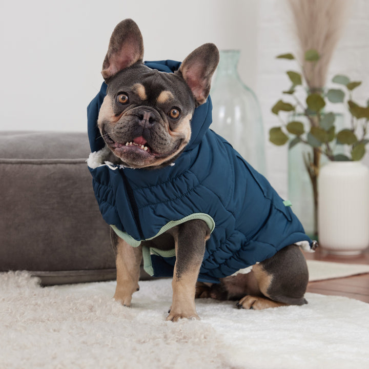 Arctic Parka - Teal by GF Pet