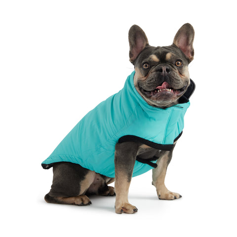 Reversible Chalet Jacket - Black/Aqua by GF Pet
