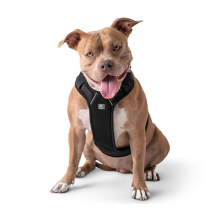 Travel Harness - Black by GF Pet