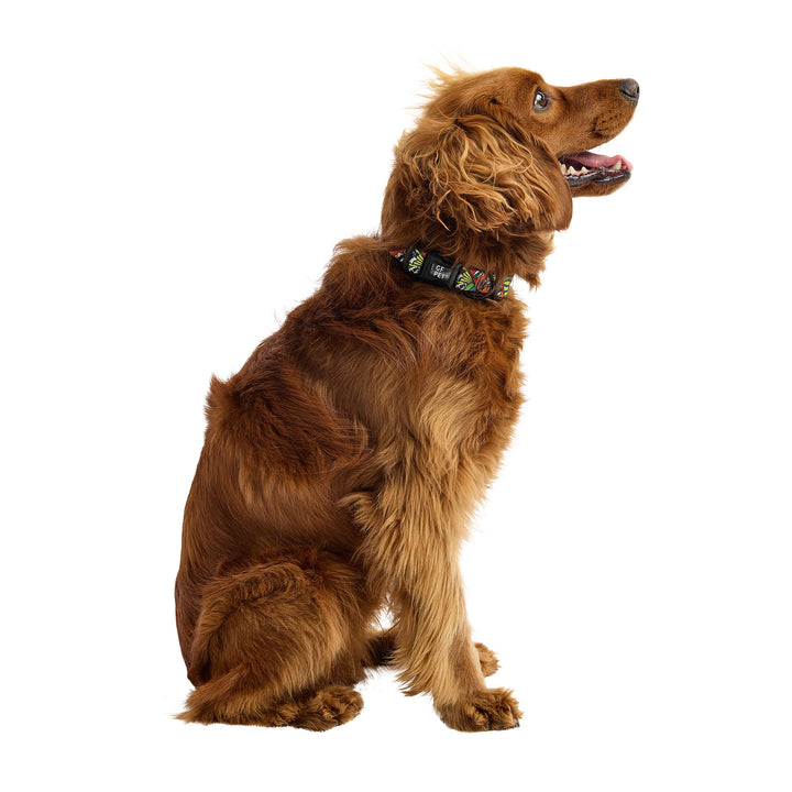 Printed Collar - Comic Book by GF Pet