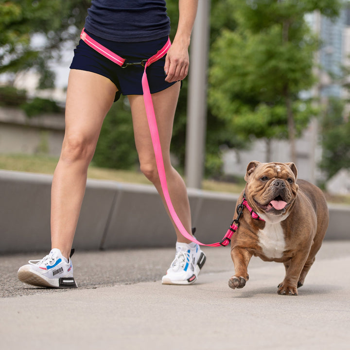 Reflective Leash - EEZY-6 - Neon Pink by GF Pet