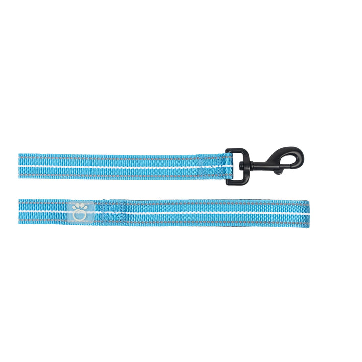 Reflective Leash - Neon Blue by GF Pet