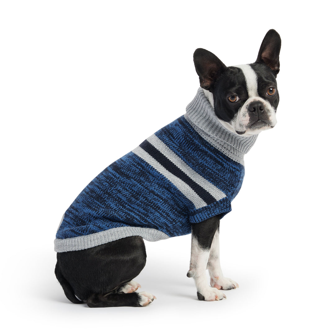 Trekking Sweater - Blue by GF Pet