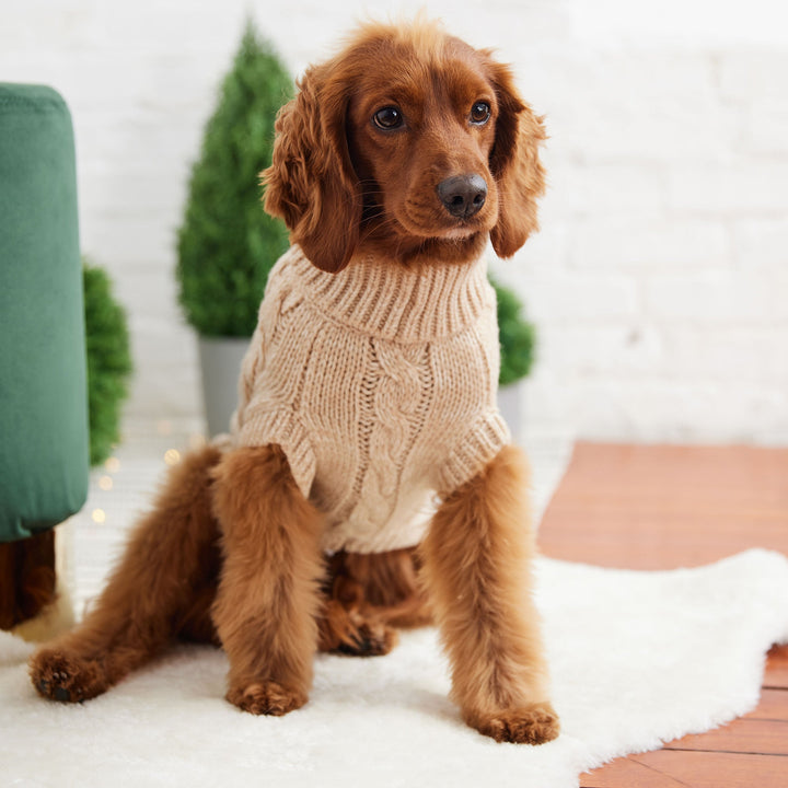 Chalet Sweater - Oatmeal by GF Pet
