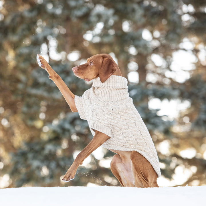 Chalet Sweater - Oatmeal by GF Pet