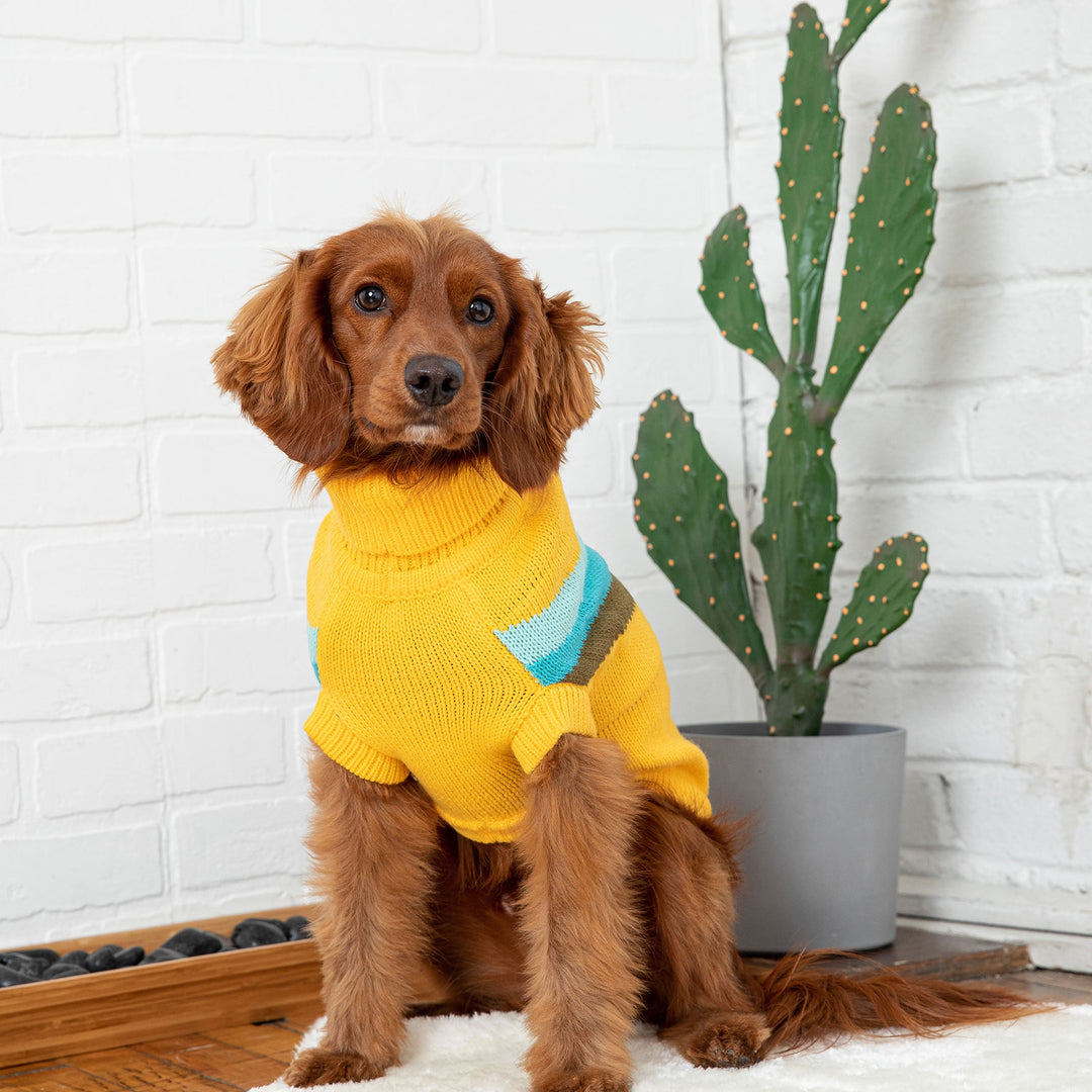 Alpine Sweater - Yellow by GF Pet