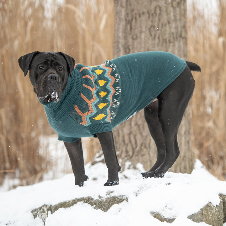 Heritage Sweater - Teal by GF Pet
