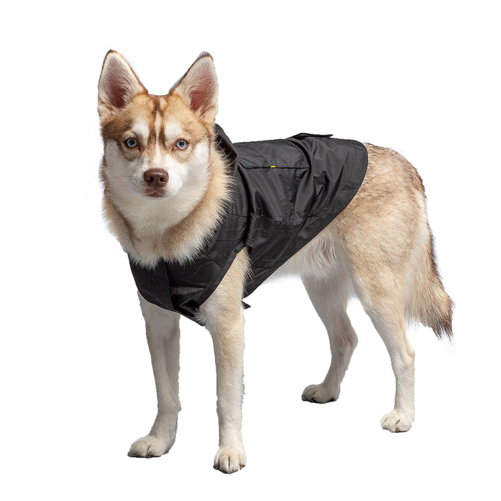 US Army Packable Dog Raincoat - Black by GF Pet